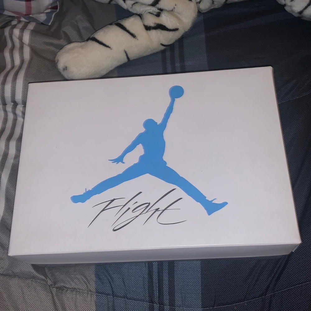 FAKE jordan 4s